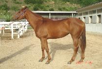 ���̶���Ʈ (BAY LIGHT) ����