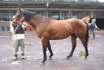 ū������ (KEUNBINNARA) ����