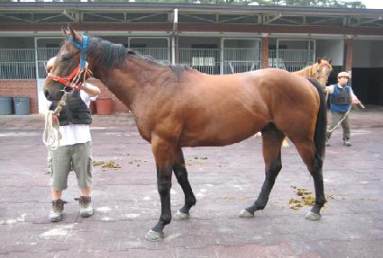 ū������ ����