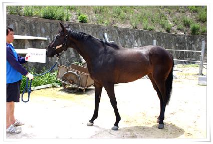 ����ȭ�ô� ����