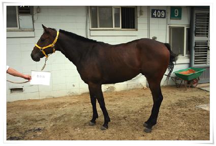 ŷ���� ����