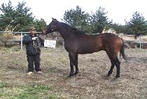 ��Ʈ��� (INTRUDER) ����