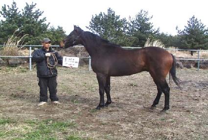 ��Ʈ��� ����