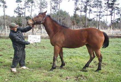 ������ ����