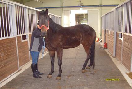 ��Ʈ������ ����