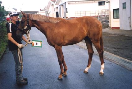 ���̿��̿��� ����