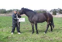 ź�� (TANSAENG) ����