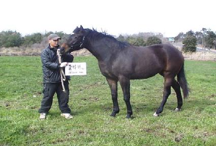 ź�� ����