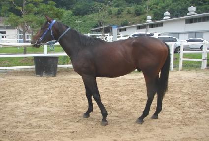 ���Ͻ�ȭ ����