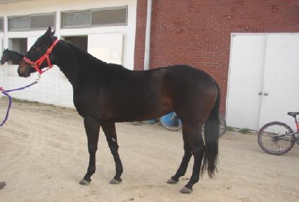 ǻóȸ��� ����