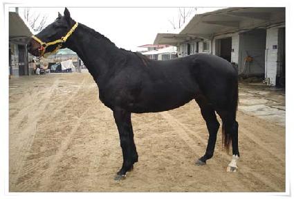 ������Ű�� ����