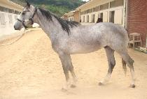 �ȷο�� (FOLLOW ME) ����