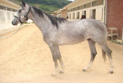 �ȷο�� ����