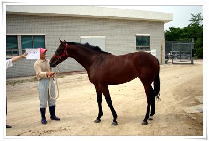 ����ģ�� ����