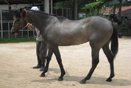 ���ش뱳 ����