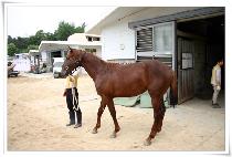 �������� (EBENEZER) ����