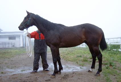 ��ö�� ����