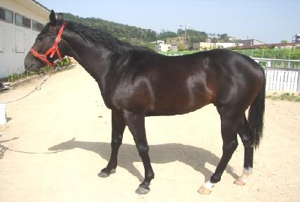 �����Ͻ��� ����