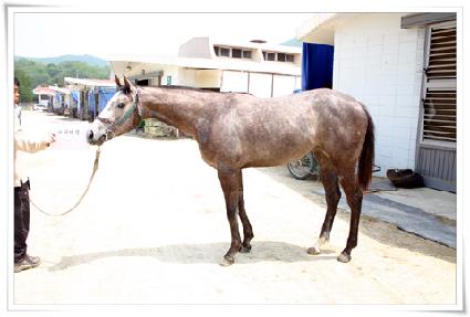 ���ǿ��� ����