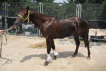 �����ȭ (MUBI SINHWA) ����