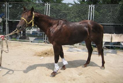 �����ȭ ����