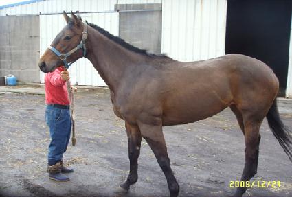 ��ħ���� ����