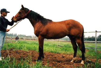 ��Ʈ�׸� ����