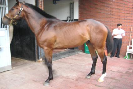 ������ ����