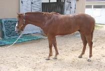 ���� (JUNGTU) ����