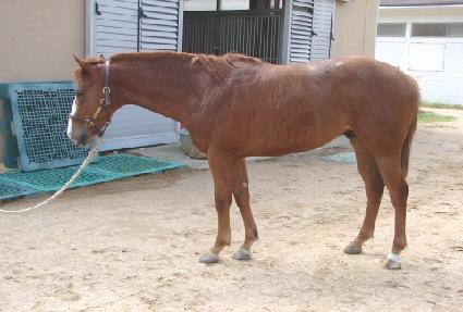 ���� ����