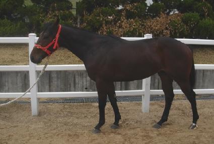 �����ǿ� ����