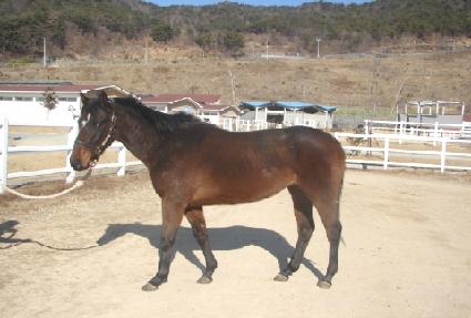 ������ ����