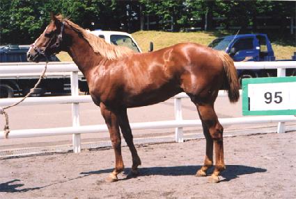 �̷�Ŭ���� ����