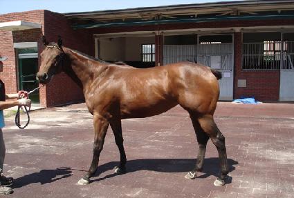 �������� ����