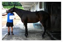 ������ (MUNSUSA) ����