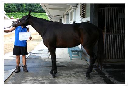 ������ ����