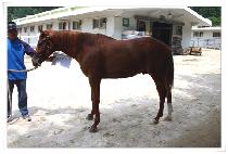 ��缺 (MO YANG SEONG) ����