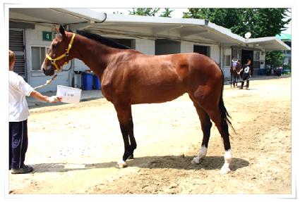 ����ž ����