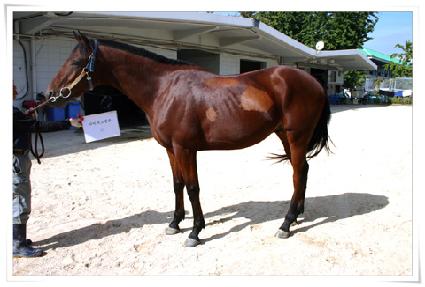 ���̴����ڵ� ����