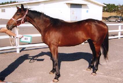 ī�� ����