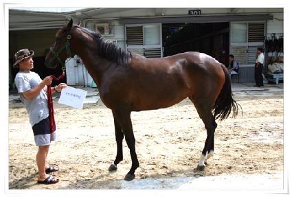 �������ǿ��� ����