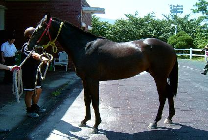 �ö��̴��� ����