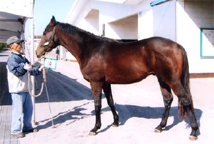 �귣������ ����