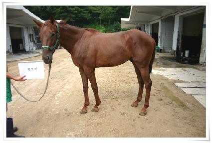 ��õ�� ����