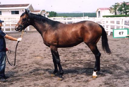 ���ο����� ����