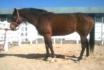 ��ǳ�ֵ� ����