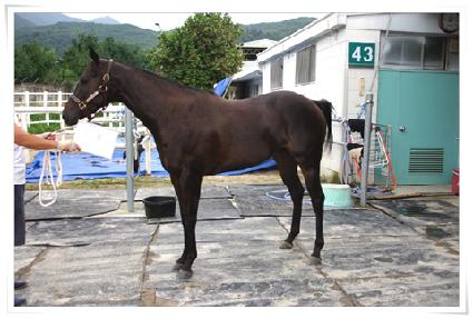 ��ǳ ����