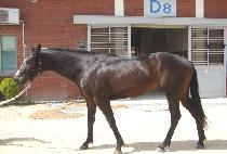 �ڼ��� (JASEONGDAE) ����