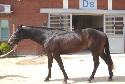 �ڼ��� ����