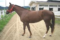 ��ﰢ (BINSAMGAK) ����